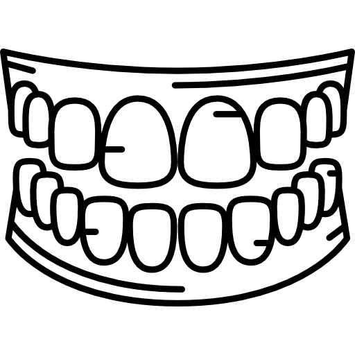 Human teeth
